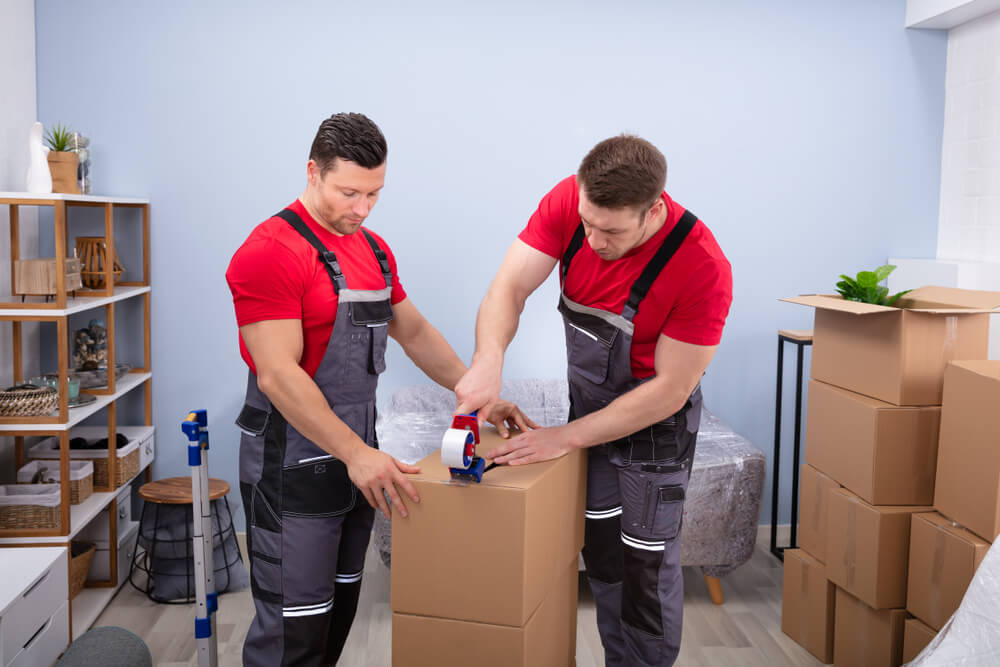 Bushnell Full Service Movers