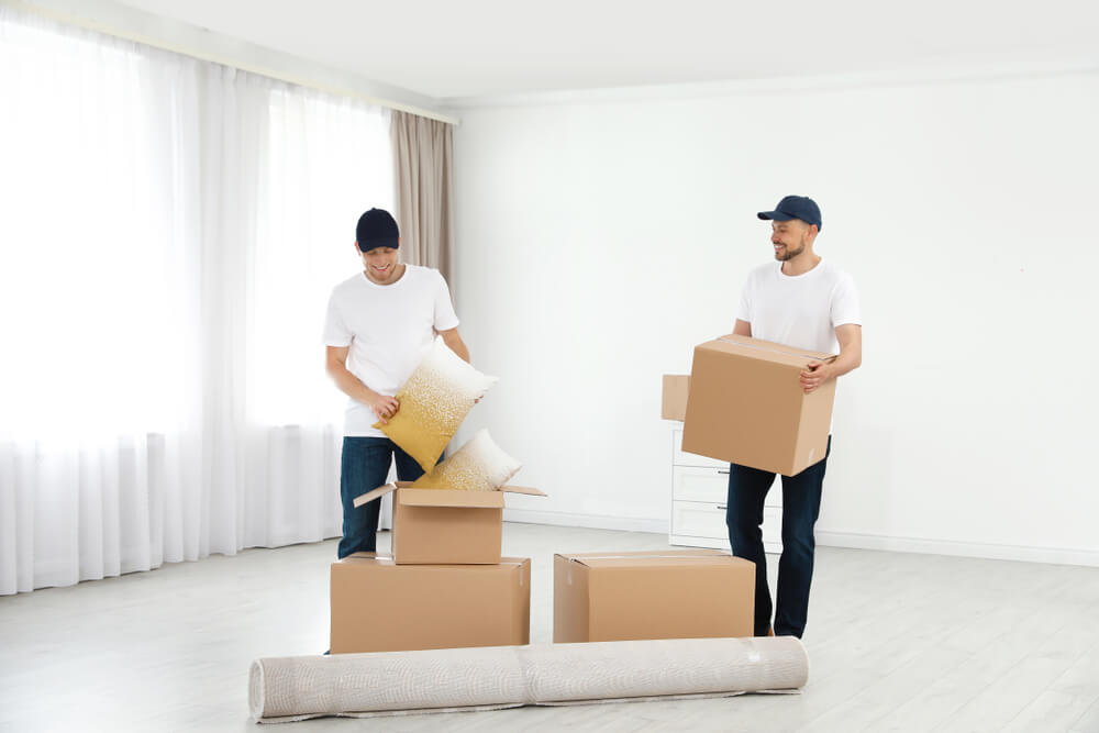 Professional Movers New Mexico