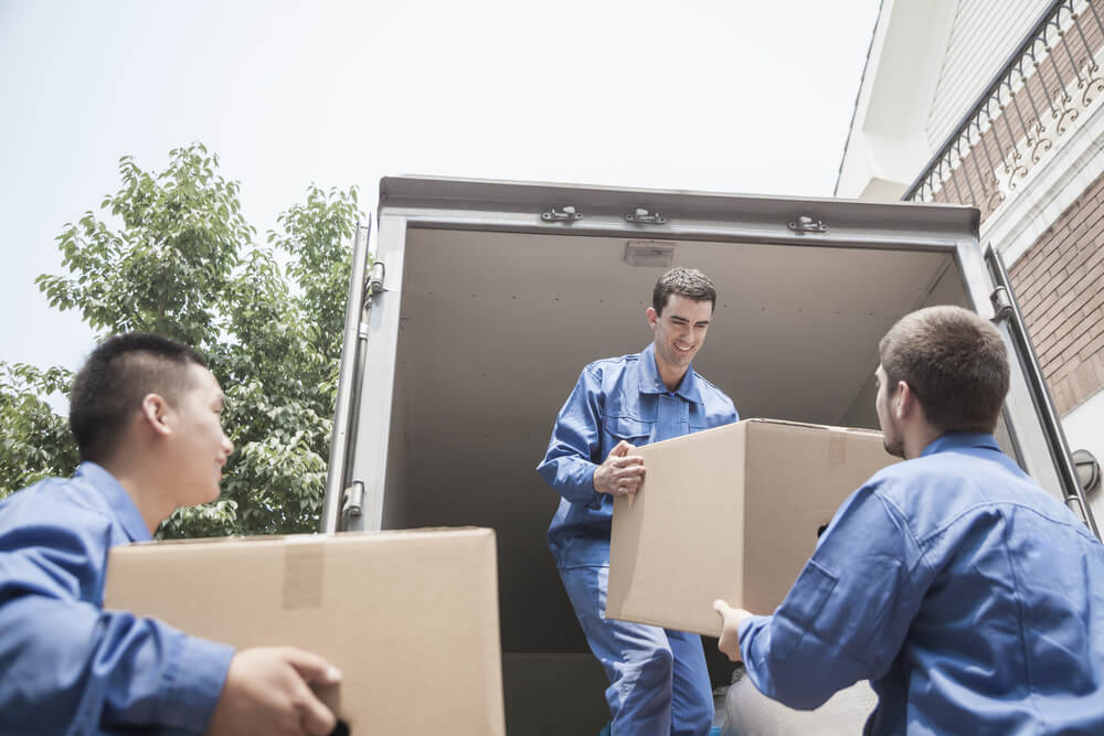Local Packing Services Henderson